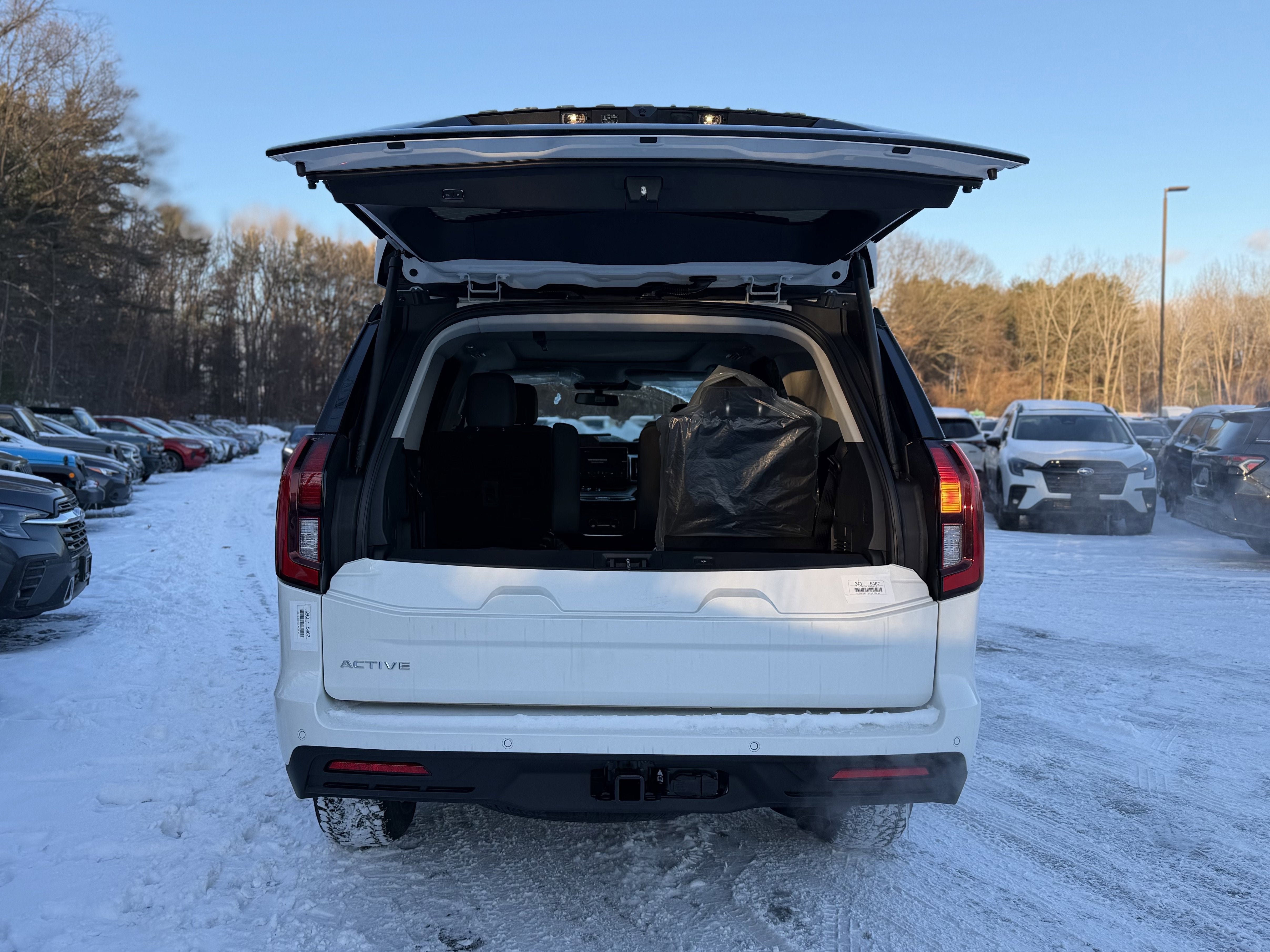 2026 Ford Expedition Active