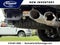 2026 Ford Super Duty F-350 SRW F-350® Platinum®
