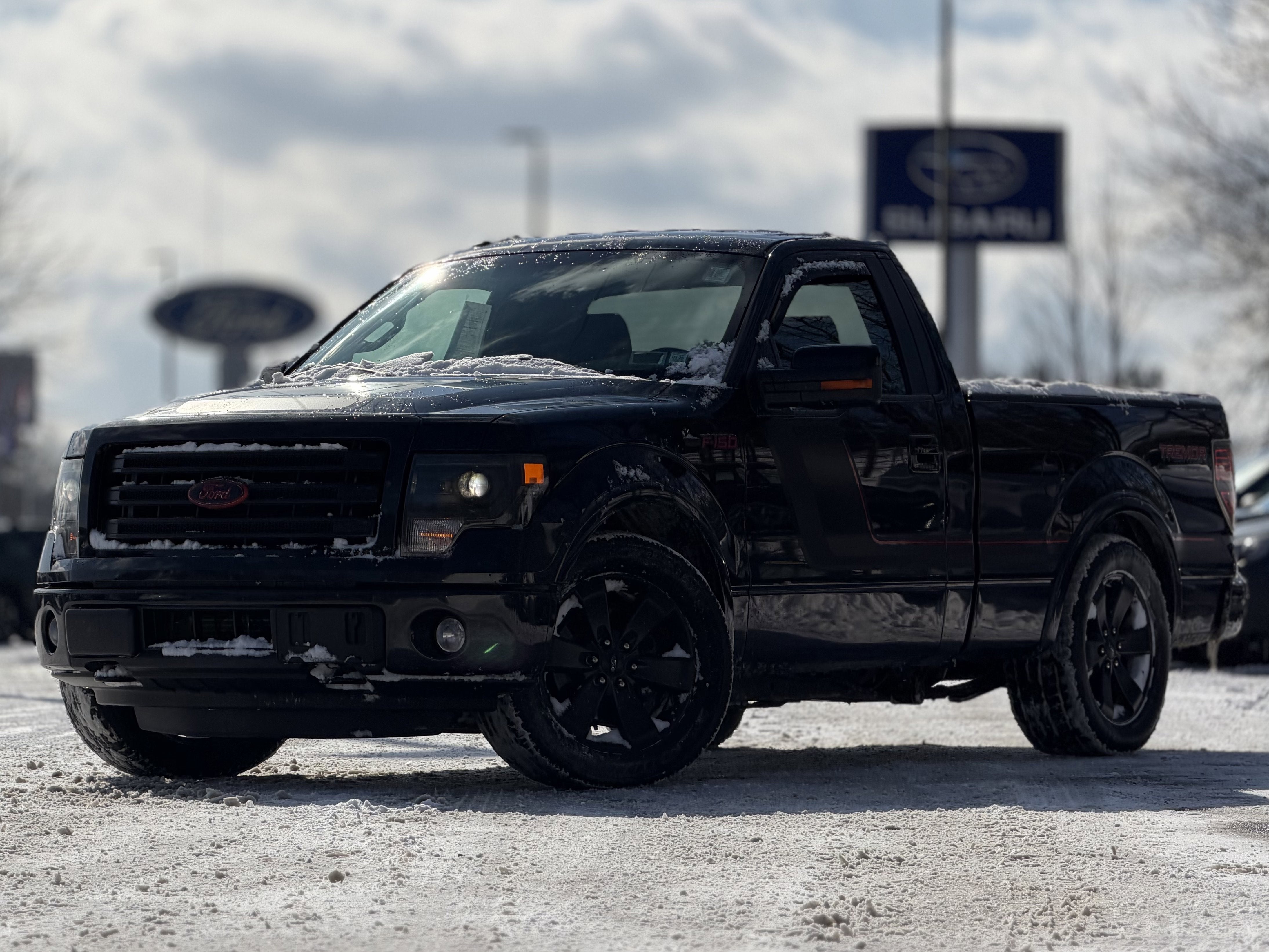 2014 Ford F-150 FX4