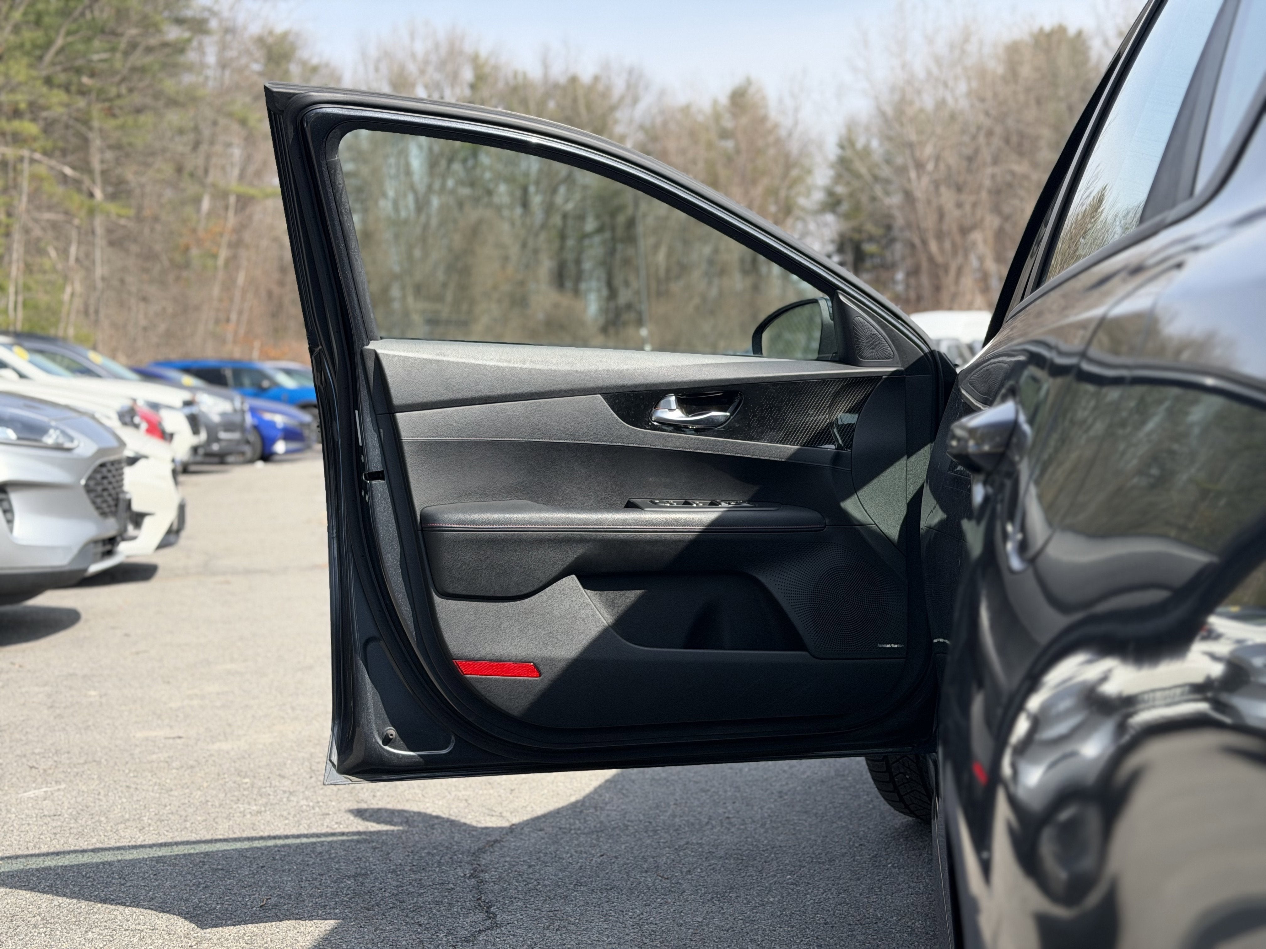 2021 Kia Forte GT