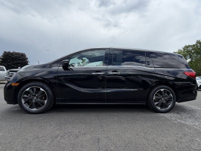 2024 Honda Odyssey Elite