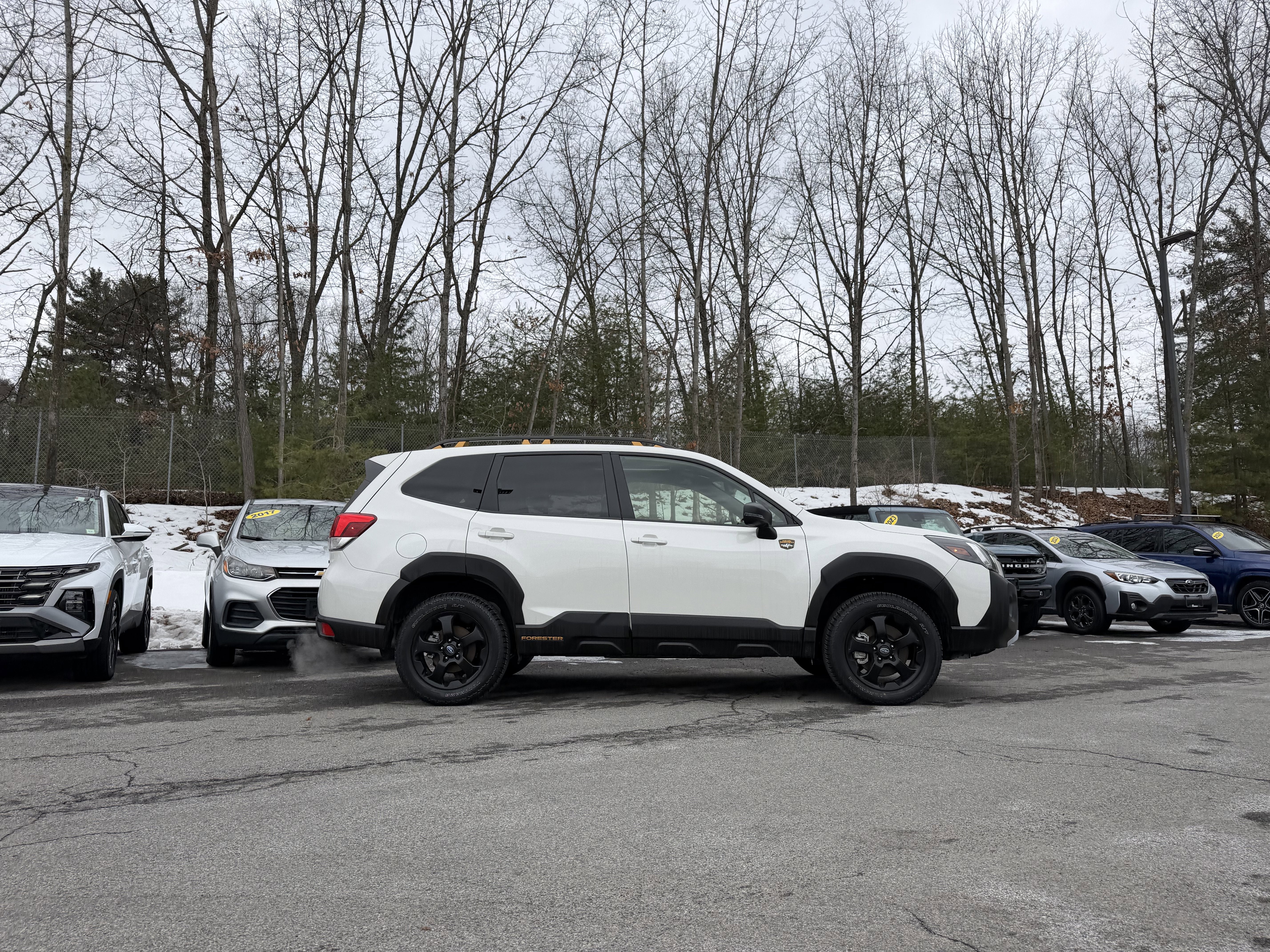 2025 Subaru Forester Wilderness