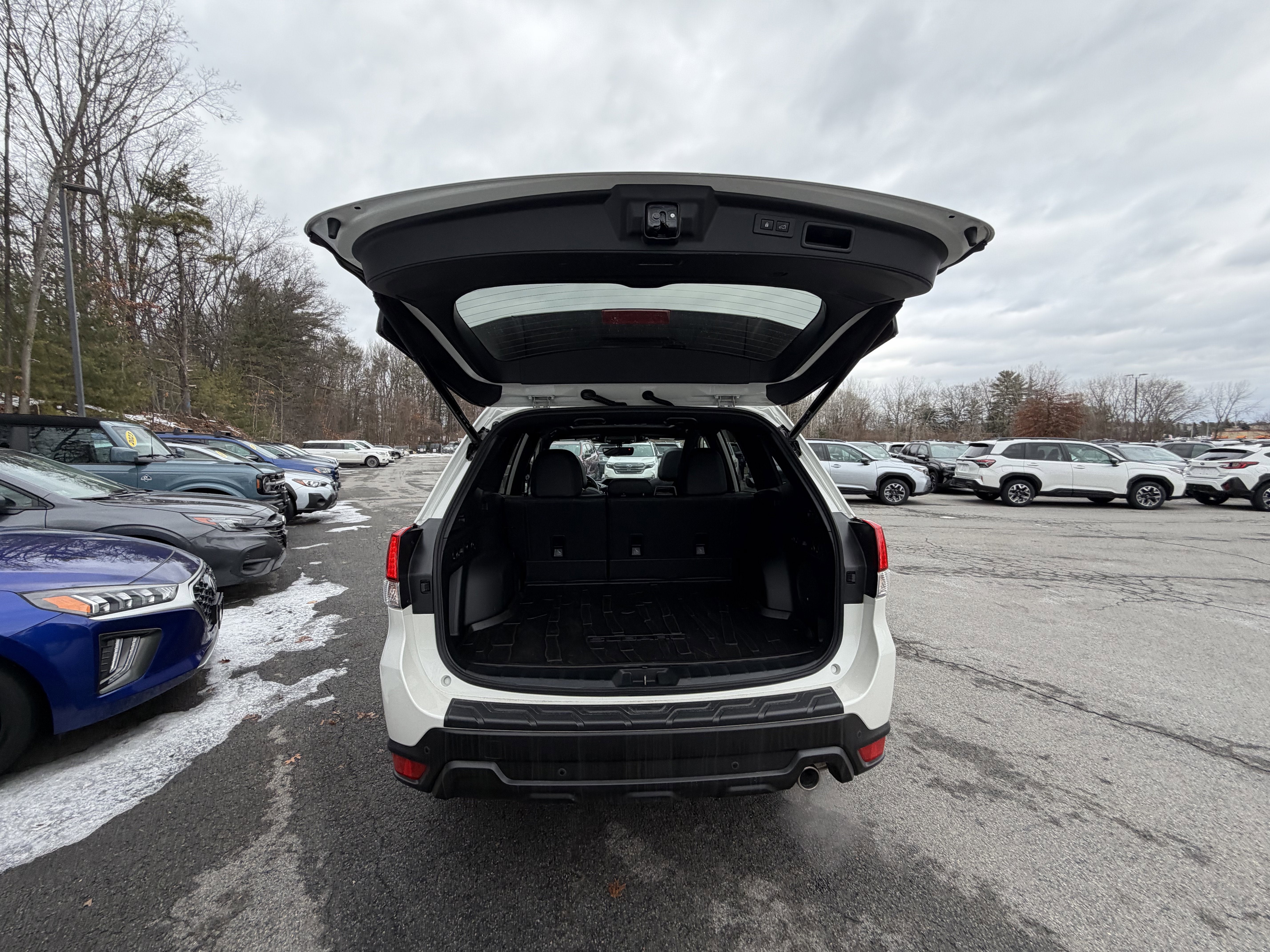 2025 Subaru Forester Wilderness