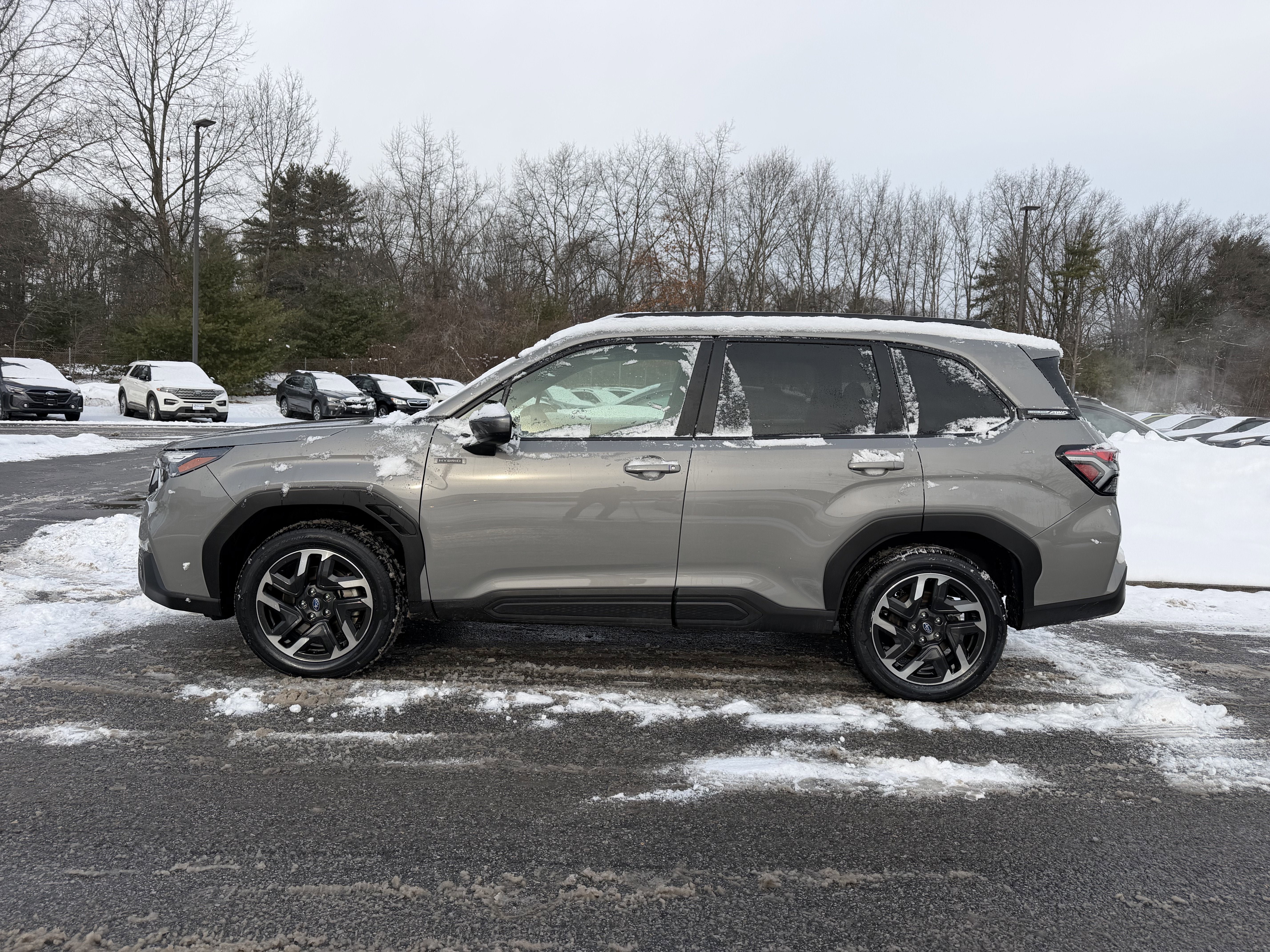 2025 Subaru Forester Hybrid Premium