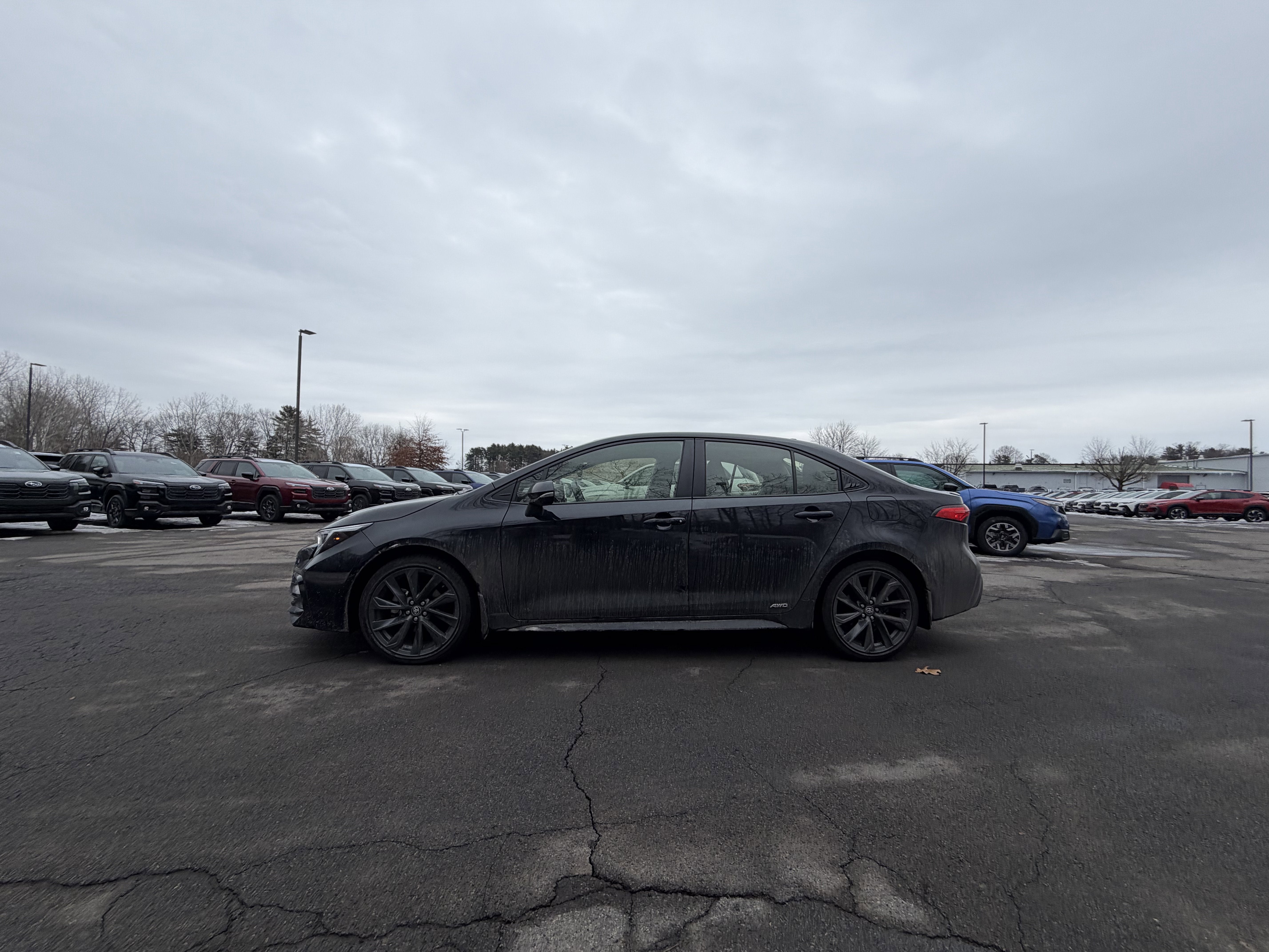 2025 Toyota Corolla Hybrid SE
