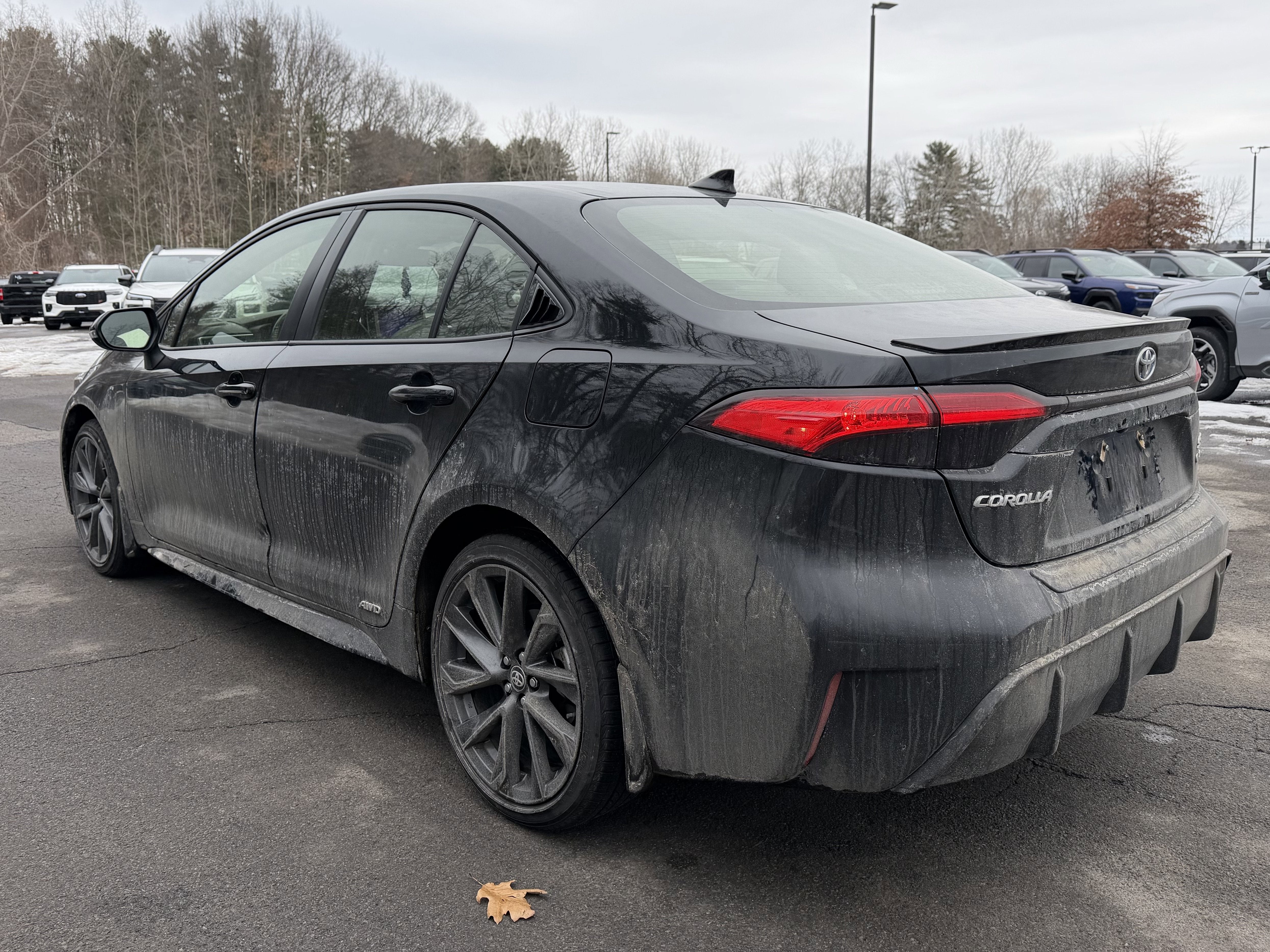 2025 Toyota Corolla Hybrid SE