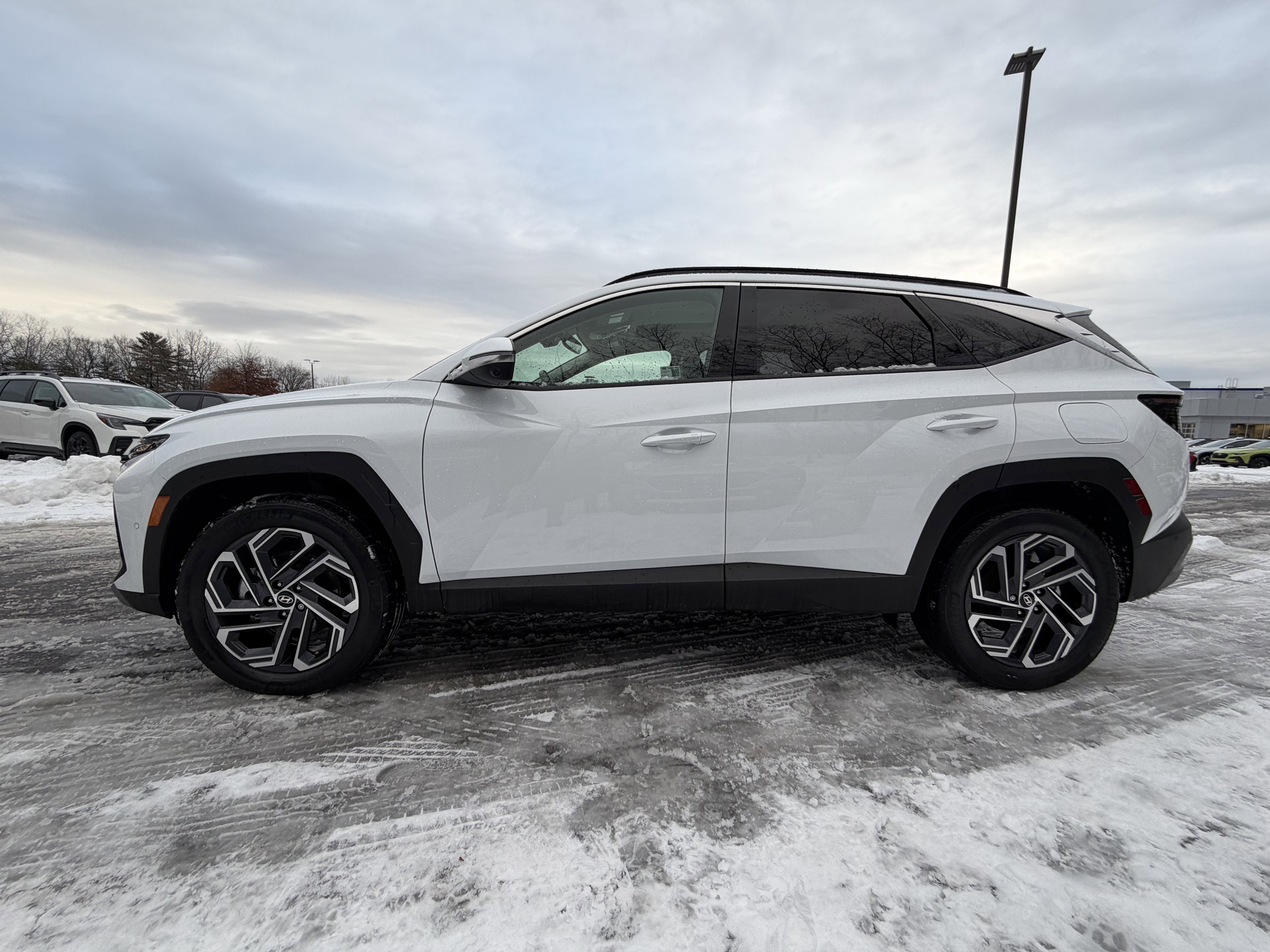 2025 Hyundai Tucson Hybrid Limited